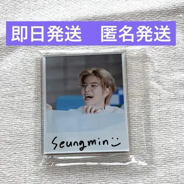 straykids 승민 랜덤 아크릴 마그넷 toyworld