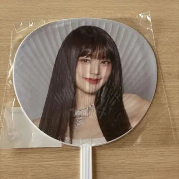 IVE 도쿄돔 원영 부채
