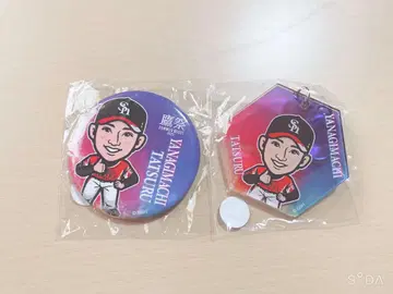 호크스 야나기마치 타츠 호크스 축제 2개 세트