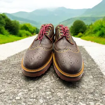 Danner 다너 윙 칩 가죽 신발 브라운 26.5cm 상당