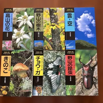 고산 꽃 외 야마케이 포켓 가이드 6권 세트