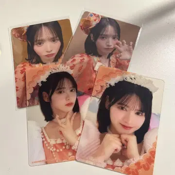 진제이 스즈카 세트
