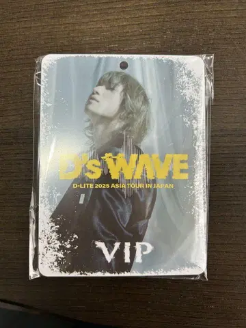 D-LITE 2025 VIP 패스 및 스트랩 세트