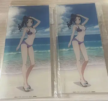 DMM 스크래치 토라도라 B상 아크릴 보드 카와시마 아미