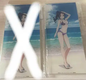 DMM 스크래치 토라도라 아크릴 보드 카와시마 아미