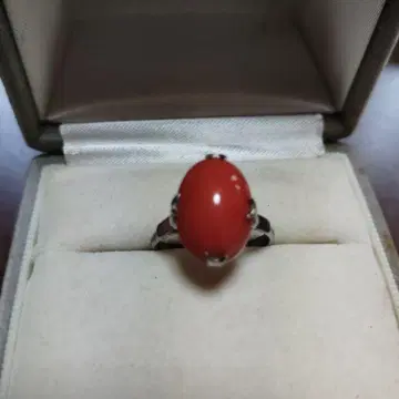 빨간 코랄 실버 반지