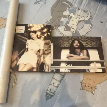 트와이스 아부트주