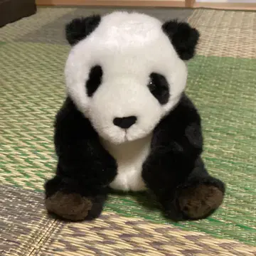 팬더 봉제 인형 소형 주라시아