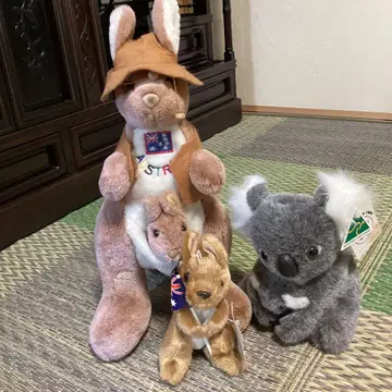 호주 캥거루 코알라 봉제 인형 세트