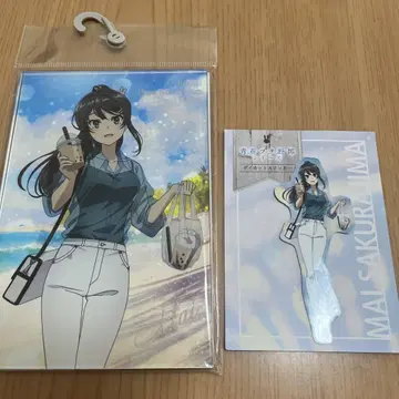 청춘 돼지 아크릴 플레이트 & 스티커