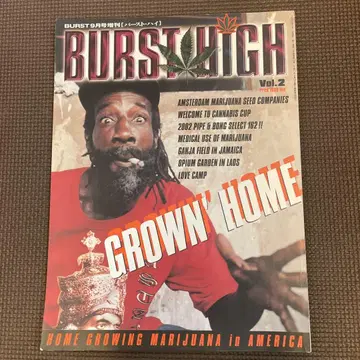 burst high vol.2 cannabis 버스트 하이