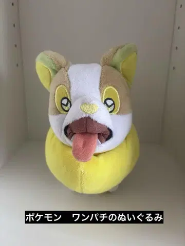포켓몬 원파치 봉제 인형 18cm