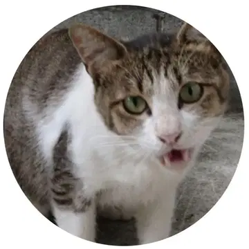 오리지널 키링 4종