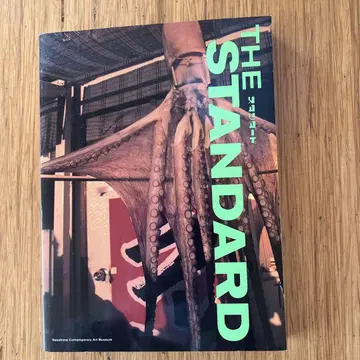 THE STANDARD 스탠다드 전과 보고서