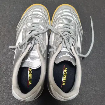 MORELIA MONARCIDA neo 풋살화 실버 26.0