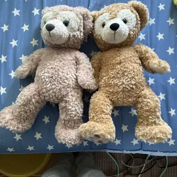 곰 봉제 인형 2개 세트