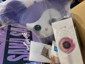 TWICE 공식 응원봉 사나 부채 세트