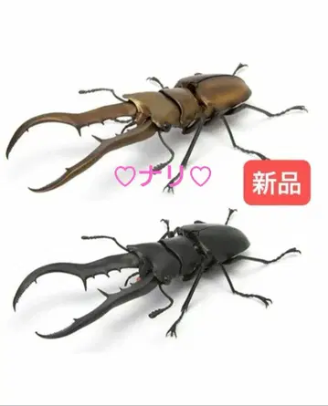 2종 세트 메탈리페루호사카쿠와가타 생물대도감 장수풍뎅이 04 곤충