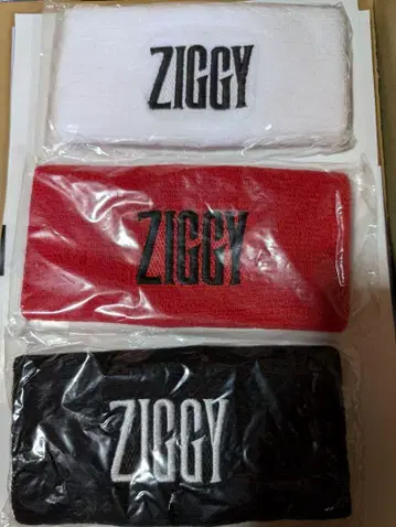 ZIGGY 리스트 밴드 3개 세트