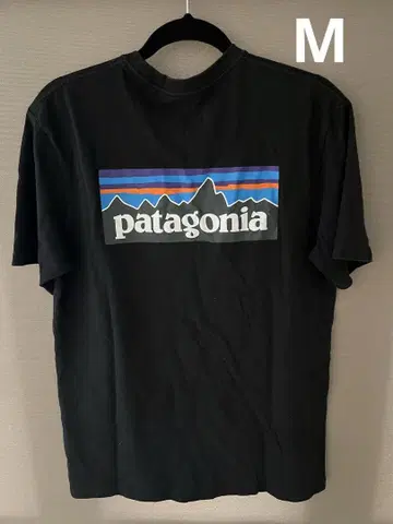 patagonia 블랙 T셔츠 백 프린트