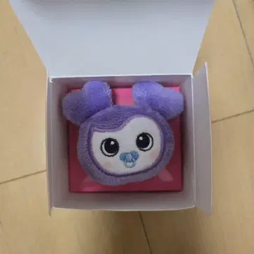 TWICE 반지 사나