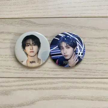 straykids 한 캔뱃지 dominate