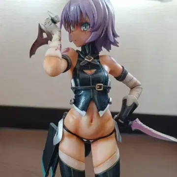 리페인트 Fate/Apocrypha 블랙 어쌔신 피규어