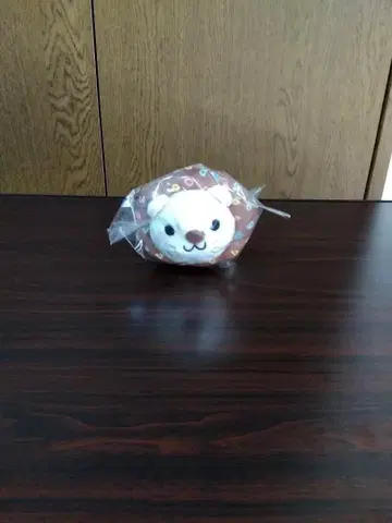 부기 학장 라이온 리베시티 봉제 인형
