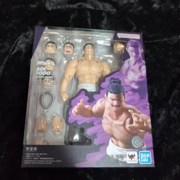 S.H.Figuarts 토도 아오이