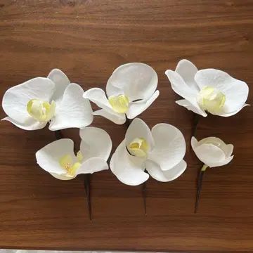 결혼식 일본 의류 헤어 액세서리 조화 팔레놉시스