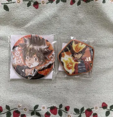 사와다 츠나요시 컬렉션 캔뱃지 오각 캔뱃지