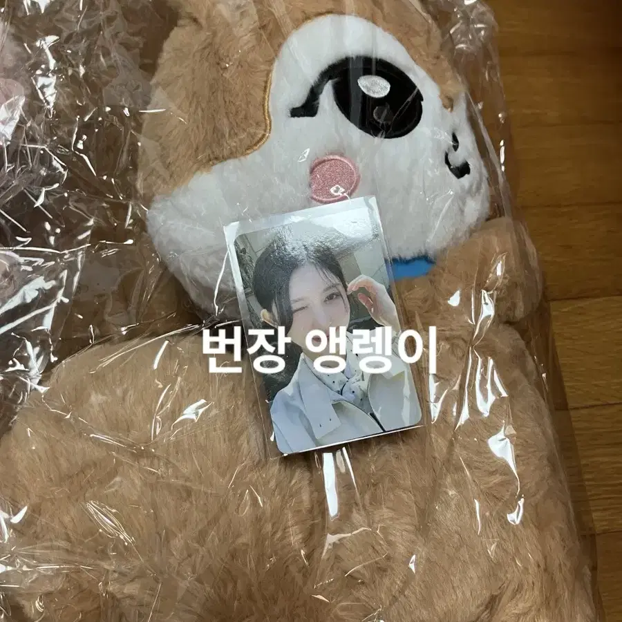 IVE | 아이브 Poca included) Ive minive School pop up Hug Bag