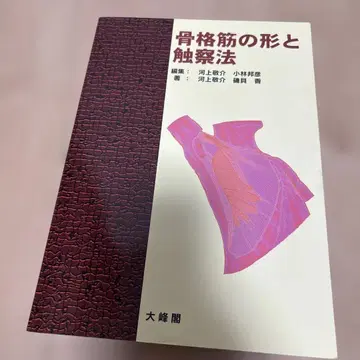 골격근의 형태와 촉진법