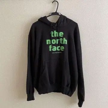 the north face 후드티 미국 모델