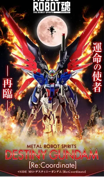 METAL ROBOT혼 데스티니 건담 [Re:Coordinate]