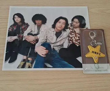 미스치루, Mr.Children, 대형 사진