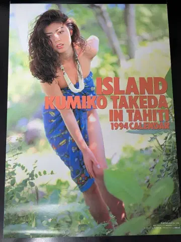 1 [상태 좋음/레어] 다케다 쿠미코 1994년 달력 ISLAND