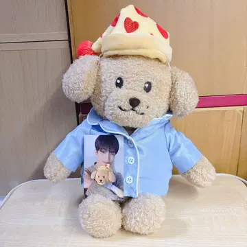[ SEVENTEEN ] DOA 봉제 인형 도겸