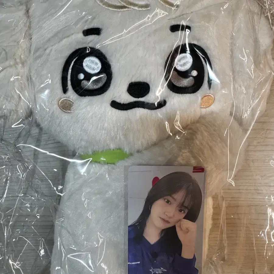 IVE | 아이브 Ive minive Gangee Ahn Yujin sealed hug bag wts
