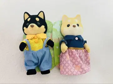 실바니안 패밀리 시바견