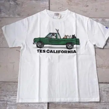 25 최신작! TES 4BUHI SURF TRUCK Tee 새상품