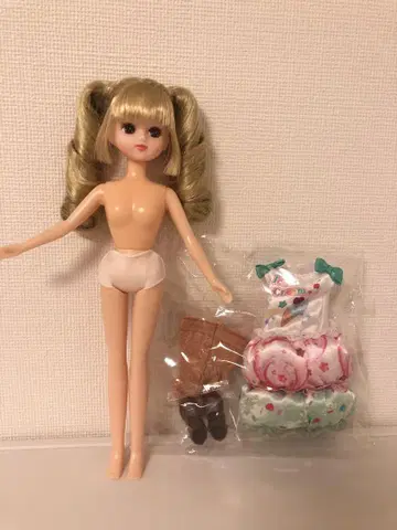 (기사용) 리카짱 본체와 드레스 세트