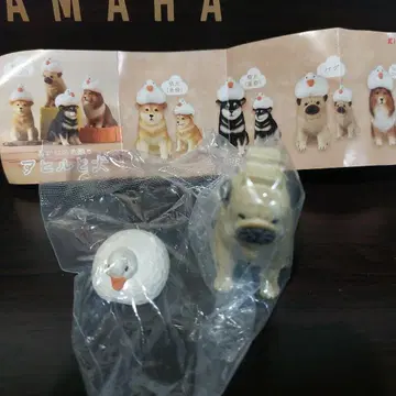 오리와 개, 퍼그