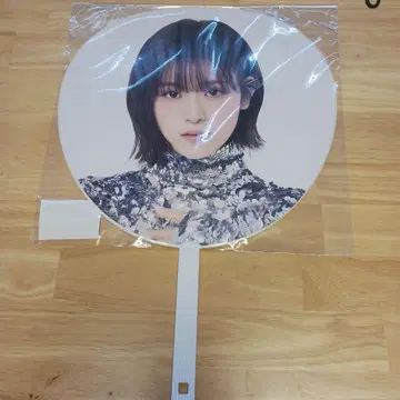 이시이 란 부채