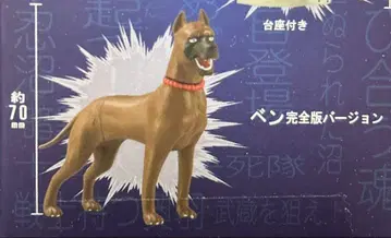 은아 피규어 컬렉션 벤 완전판 버전