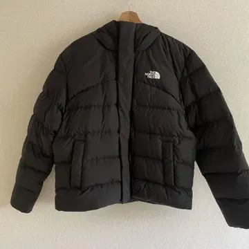 the north face 미국 모델 다운 자켓