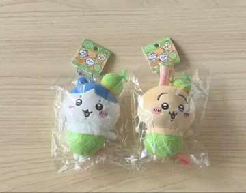 치이카와 토끼 하치와레 지역 한정 마스코트 멜론 홋카이도 2개 세트