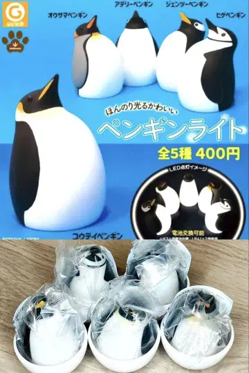 약간 빛나는 귀여운 펭귄 라이트 전 5종 풀 컴프 캡슐 토이 가챠