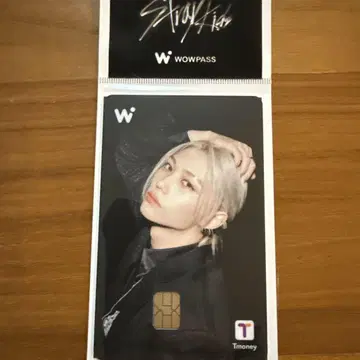 Straykids 스키즈 wowpass 와우패스 felix 필릭스