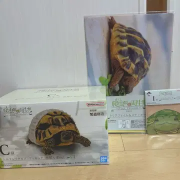 제일복권 파충류&양서류 vol.2 C상 헬만리쿠가메 피규어 덤 포함